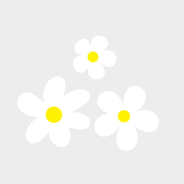 Witte Bloemen – All-over transfervel