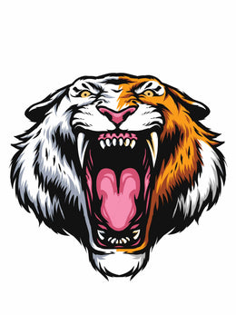 Tiger – Strijktransfer