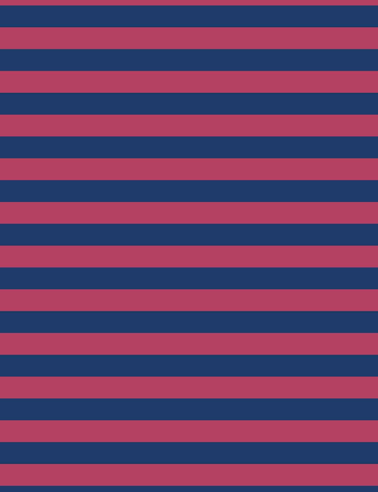 Rhino Stripe | 100% cotton jersey | 170 cm wide
