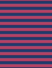 Rhino Stripe | 100% cotton jersey | 170 cm wide