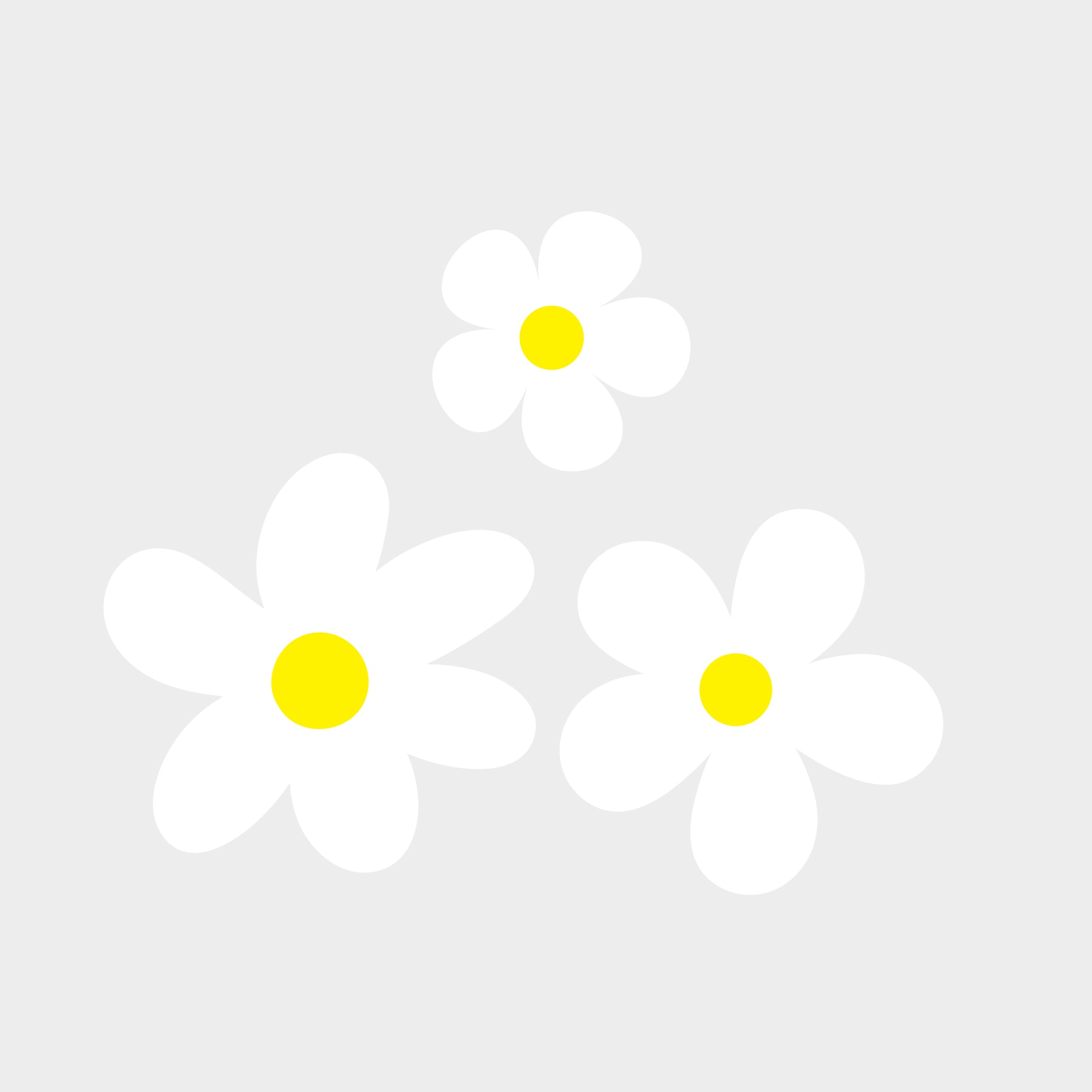Witte Bloemen – All-over transfervel