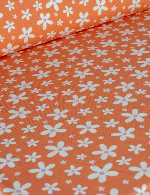 Daisy Pop Bittersweet Orange