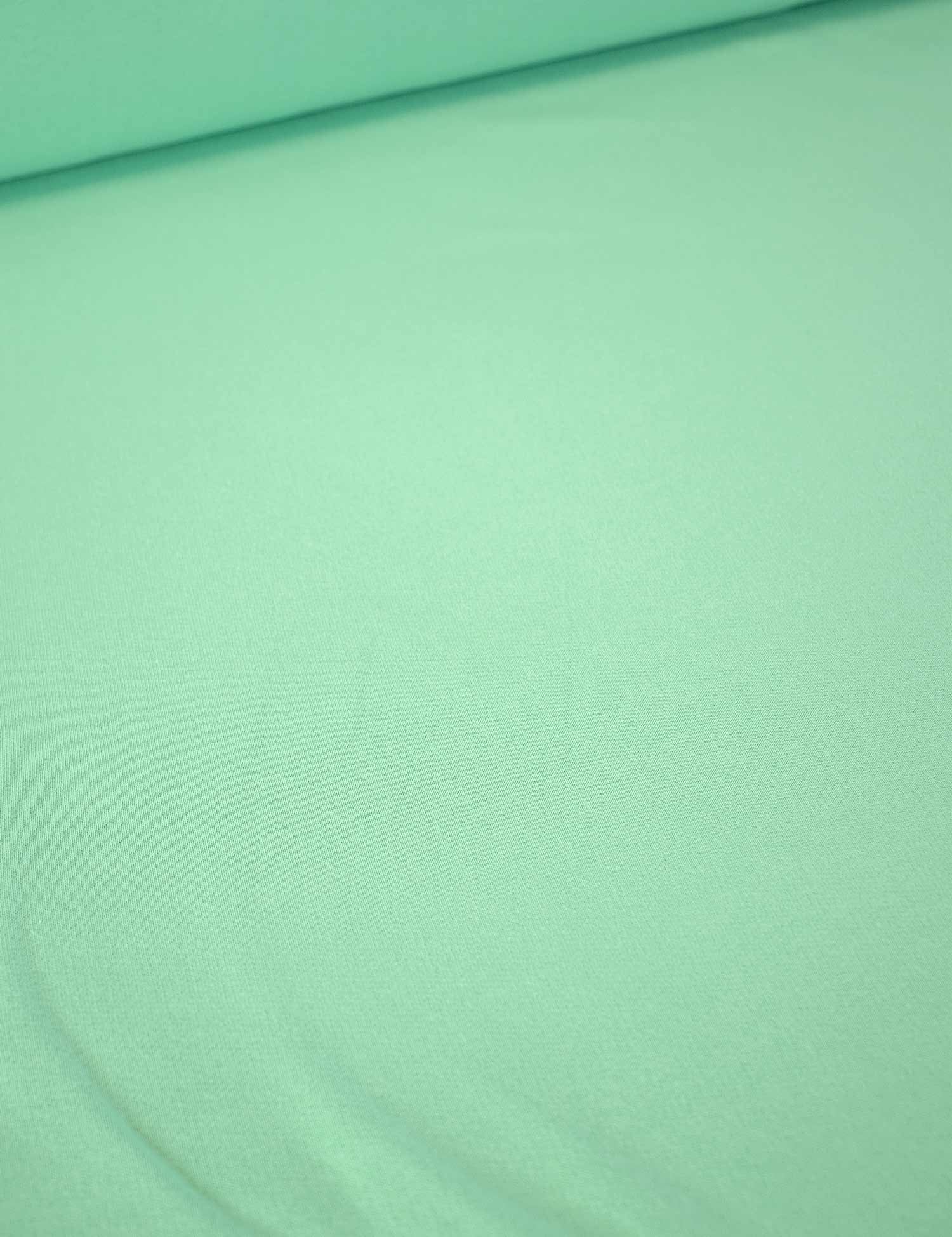 Mint Vibe | 100% cotton French Terry | 180 cm wide
