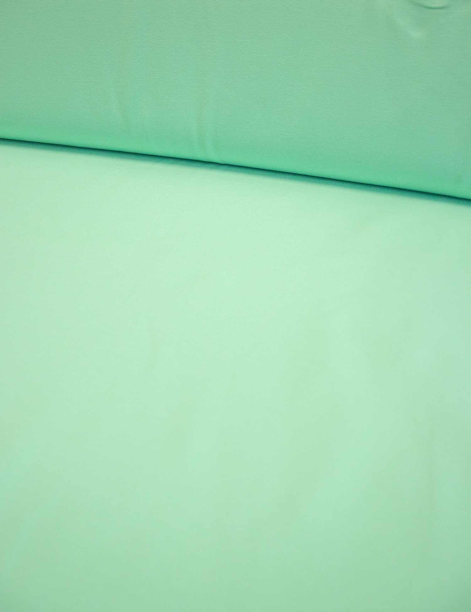 Mint Vibe | French Terry | 180 cm wide