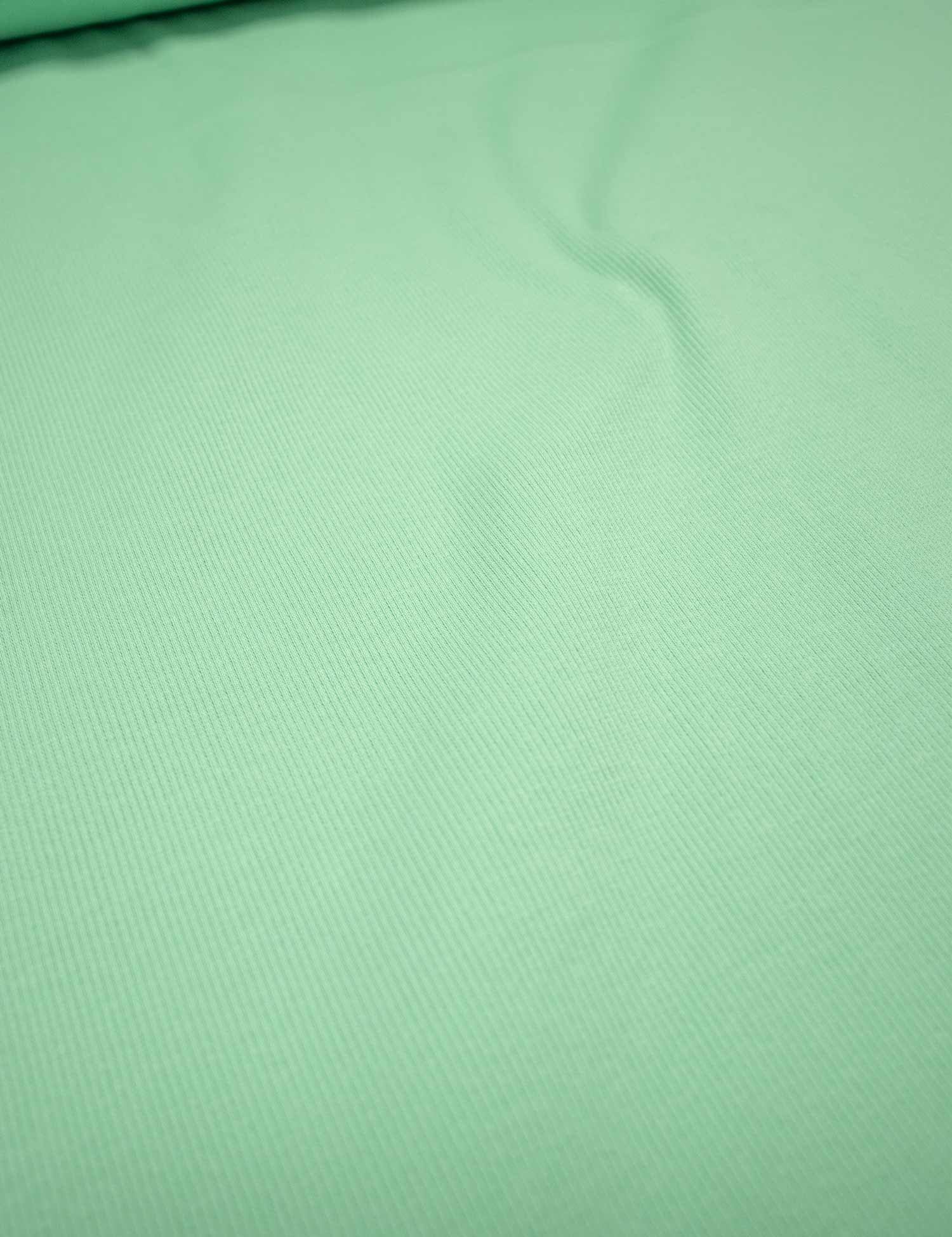Mint Vibe | 2×1 ribbing | 125 cm wide
