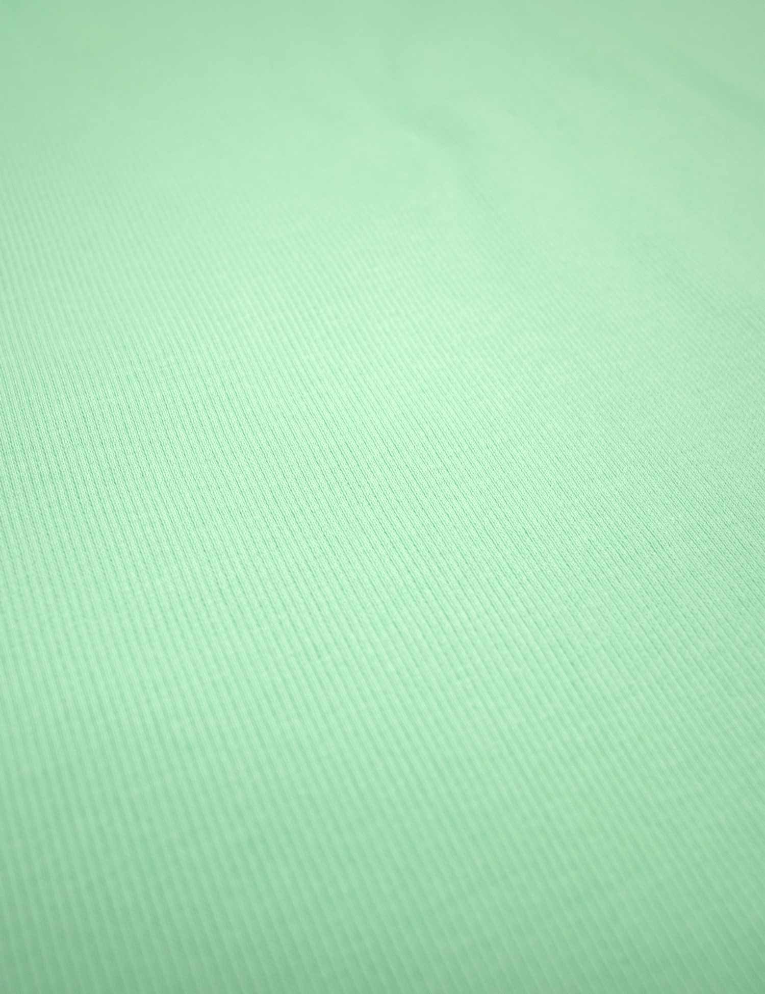 Mint Vibe | 2×1 ribbing | 125 cm wide