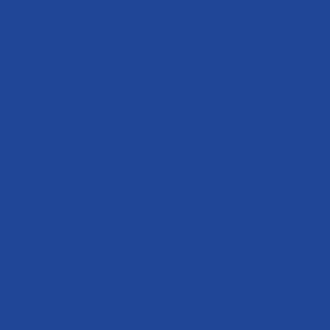 Royal Blue | French Terry | 180 cm wide