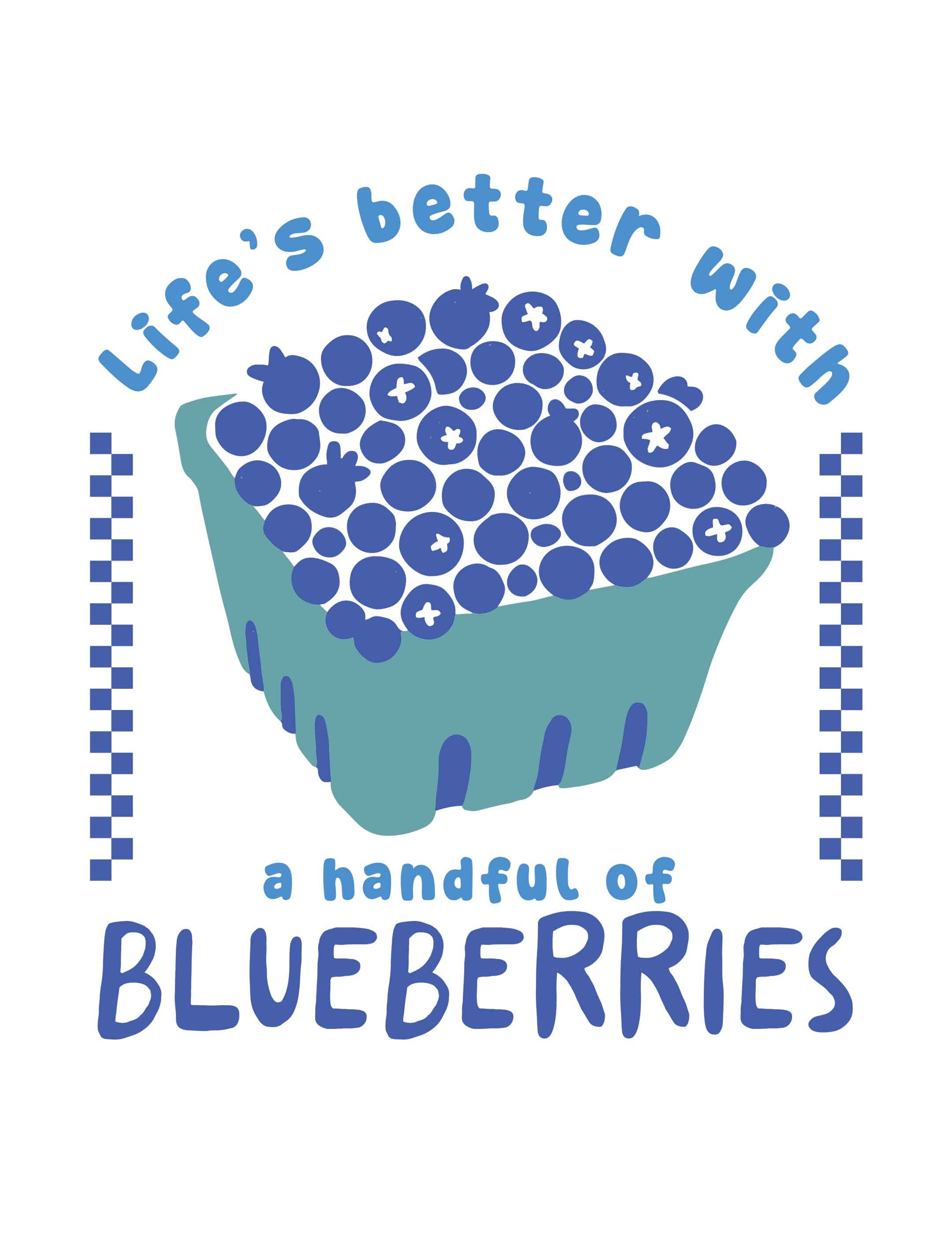 Blueberries – Fruit Parade – Strijktransfer