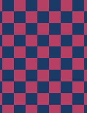 Rhino Blue & Berry Bold Check – French Terry stof – 170 cm breed