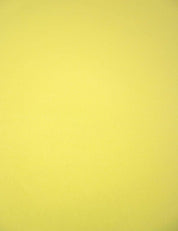 Lemon Haze | French Terry | 180 cm wide