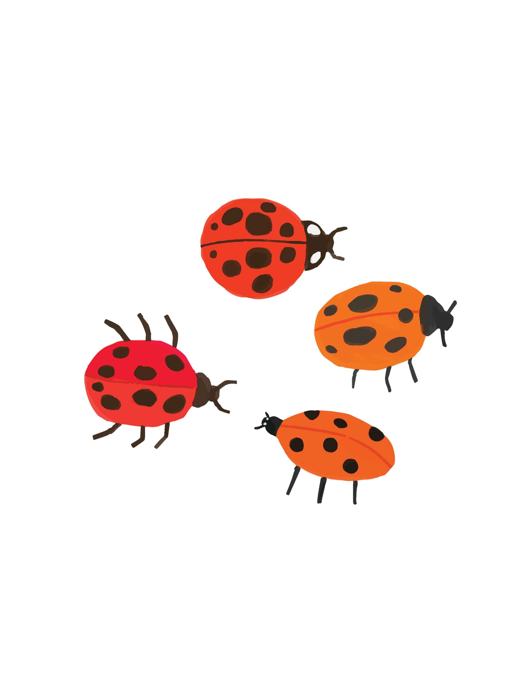 Ladybug – All-over transfervel