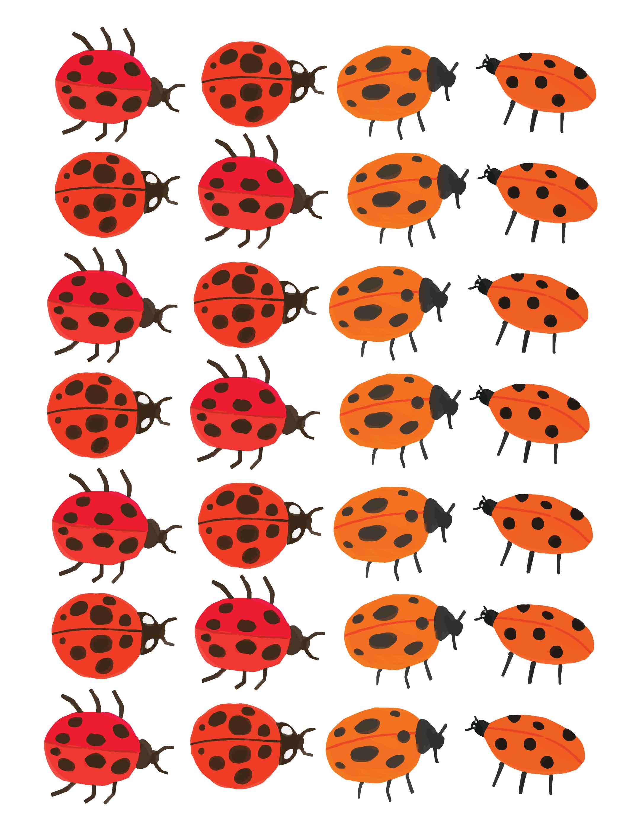 Ladybug – All-over transfervel