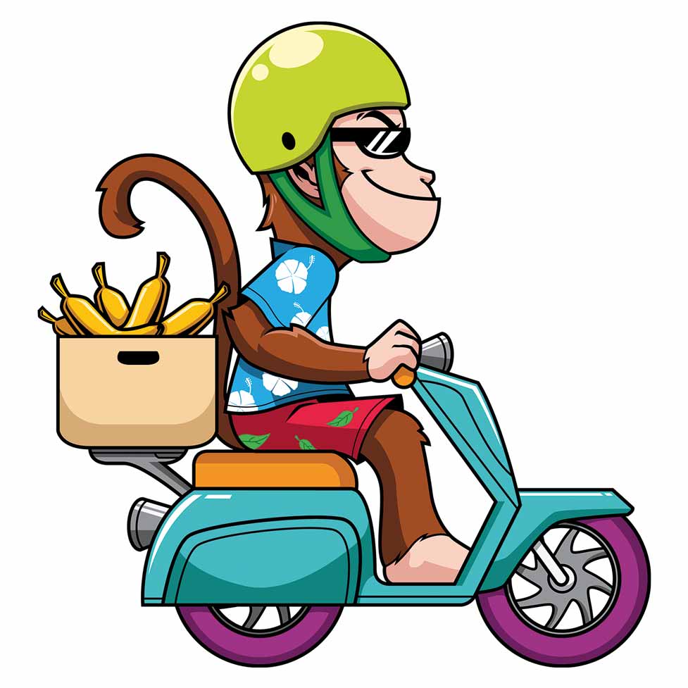 Monkey – Strijktransfer